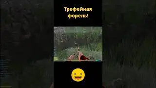 РР4 - Трофейная форель ручьевая! #shorts  #русскаярыбалка4 #рр4