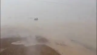 A terrible storm hit the desert and herd of camels! Sharjah Taif Saudi Arabia