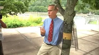 NY officials explain how to combat the spotted lanternfly