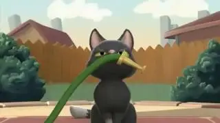 Мяуканье кошки (2009) Короткометражный мультфильм