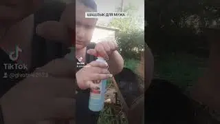 ВКУСНЕЕ ШАШЛЫКА НЕ БЫВАЕТ !