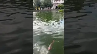 Тайная дверь в красивейший сад Праги! А Вы были здесь?