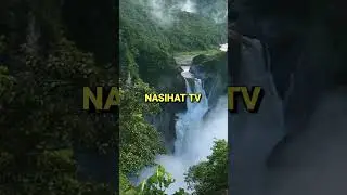 Жуда кучли хикмат Гап ташувчилар тўғрисида