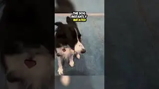 This Woman Made her dog SING NOTES 😍🙌😭🥺