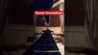 Renai Circulation