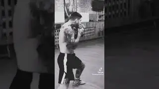 гальорки падйом