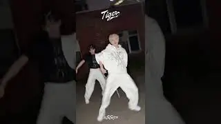 🦭🐰 Take your heart! 🐯#nSSign #엔싸인 #Repackage#Tiger #타이거챌린지 #Tiger_challenge