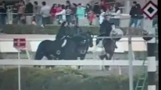 Exhibicion de Cuadriga 2008 - Caballos Gigantes