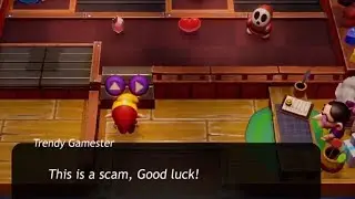 Link got scammed (Link's Awakening)