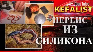 Наживка на кефаль - морской червь Нереис, лучшая прикормка на кефаль