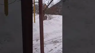 16 февраля 2024 г.