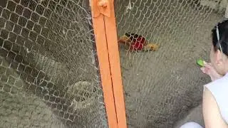 СЕМЕЙ ЗООПАРК